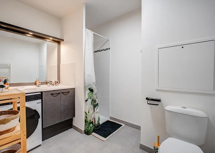 Appartement L'etoile De Reve-zenith Avec Parking Gratuit Et 2 Tarasses Toulouse